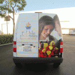 ford_transit_wrap6