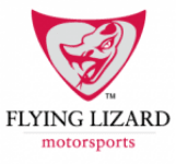 Flying Lizard Logo